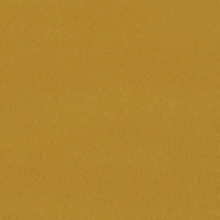n. 423 | Mustard